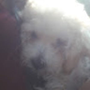 Meet your Posher, Chocker